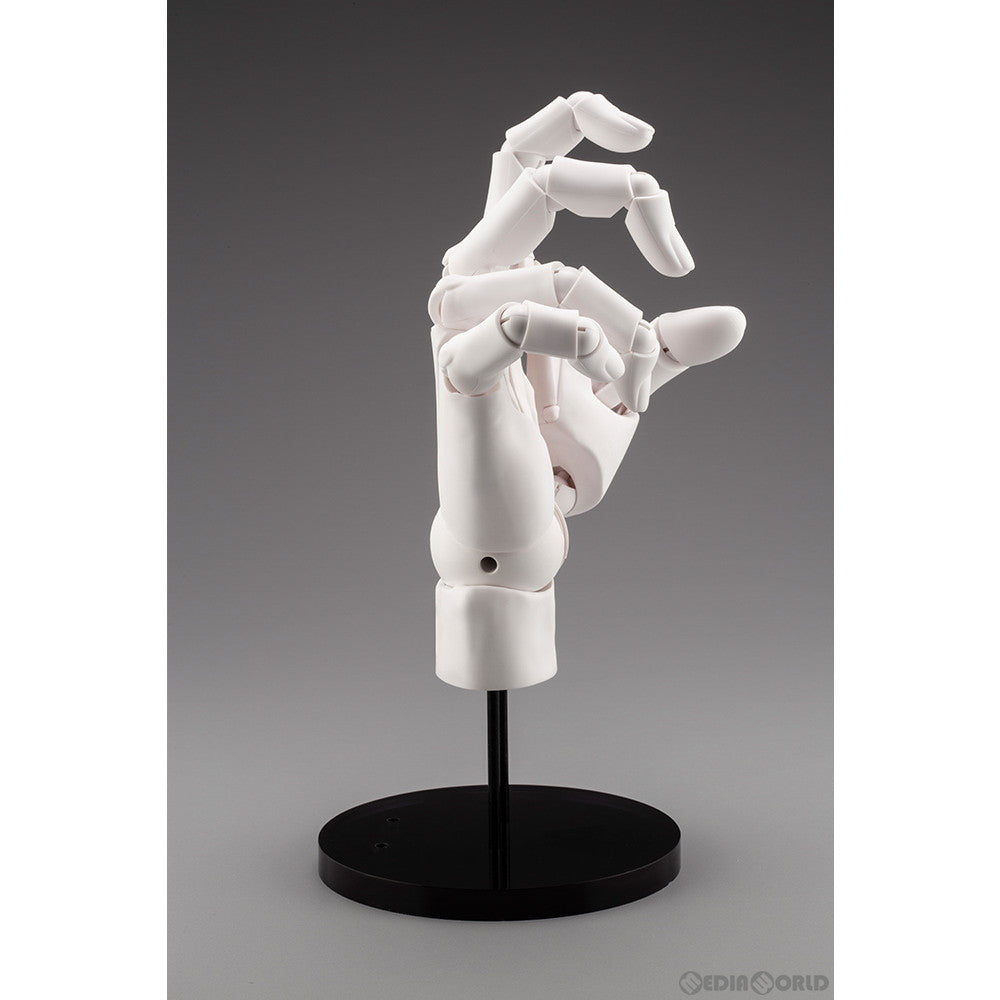 【中古即納】[FIG]ARTIST SUPPORT ITEM ハンドモデル/R -WHITE- 1/1 完成品 アクションフィギュア(AT006) コトブキヤ(20240316)