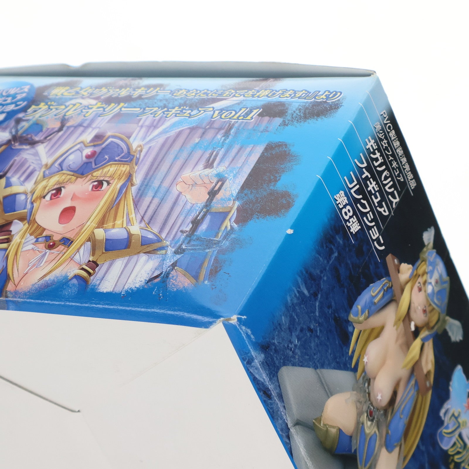 【中古即納】[FIG]ヴァルキリー Vol.1 戦乙女ヴァルキリー あなたに全てを捧げます 1/8 完成品 フィギュア ギガパルス(20070425)