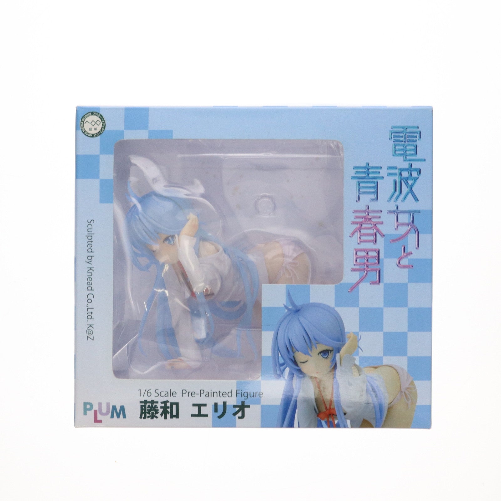 【中古即納】[FIG] 藤和エリオ(とうわえりお) 電波女と青春男 1/6 完成品 フィギュア(PF008) PLUM(プラム)(20120420)