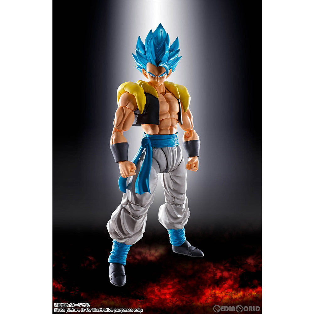 【中古即納】[FIG] S.H.Figuarts(フィギュアーツ) スーパーサイヤ人ゴッドスーパーサイヤ人ゴジータ ドラゴンボール超(スーパー) ブ　　ー 完成品 可動フィギュア バンダイスピリッツ(20220423)