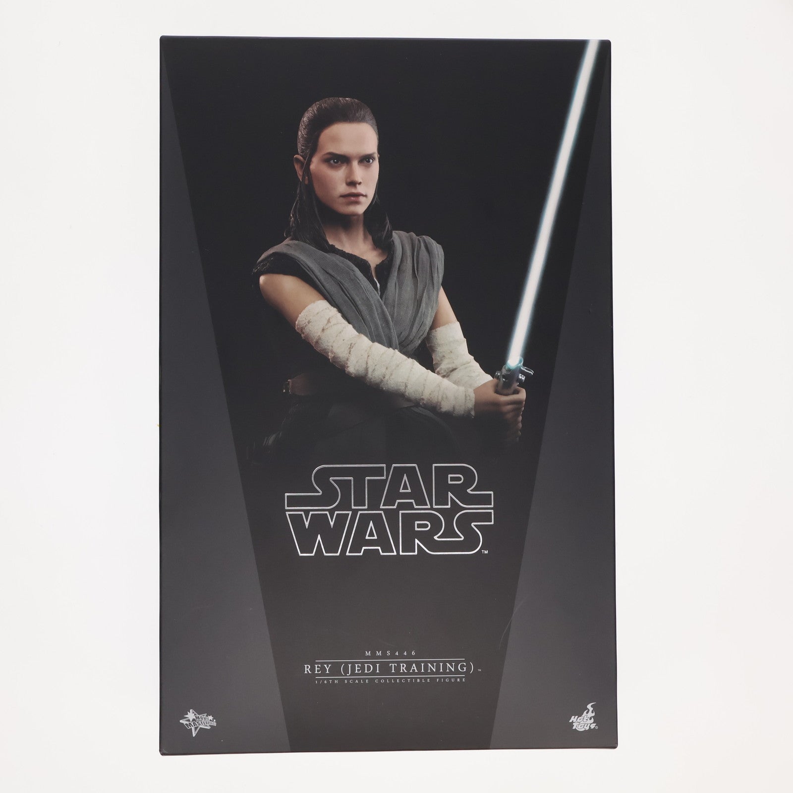 【中古即納】[FIG] ムービー・マスターピース レイ(ジェダイ・トレーニング版) STAR WARS(スター・ウォーズ)/最後のジェダイ 1/6 完成品 可動フィギュア(MM#446) ホットトイズ(20180726)