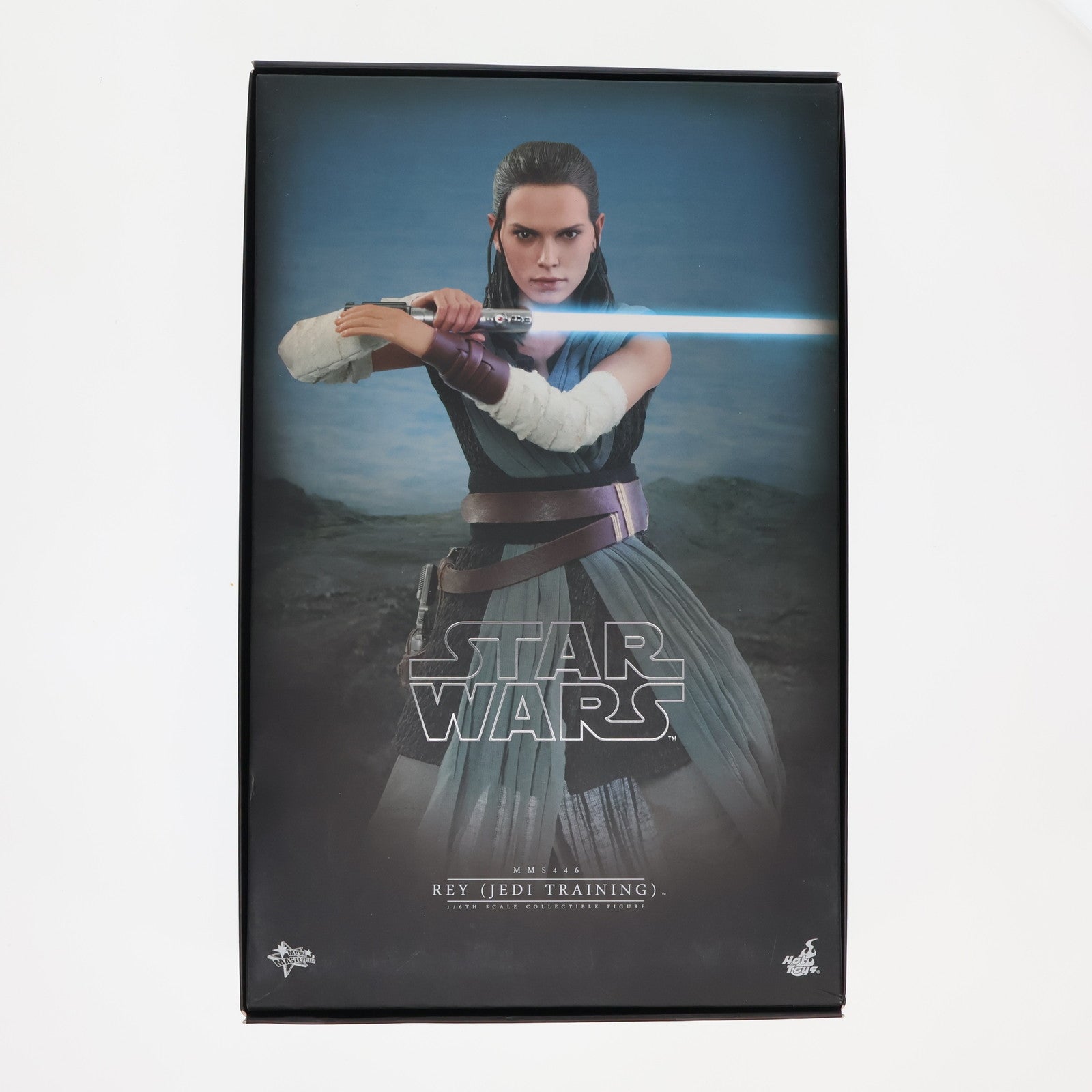 【中古即納】[FIG] ムービー・マスターピース レイ(ジェダイ・トレーニング版) STAR WARS(スター・ウォーズ)/最後のジェダイ 1/6 完成品 可動フィギュア(MM#446) ホットトイズ(20180726)