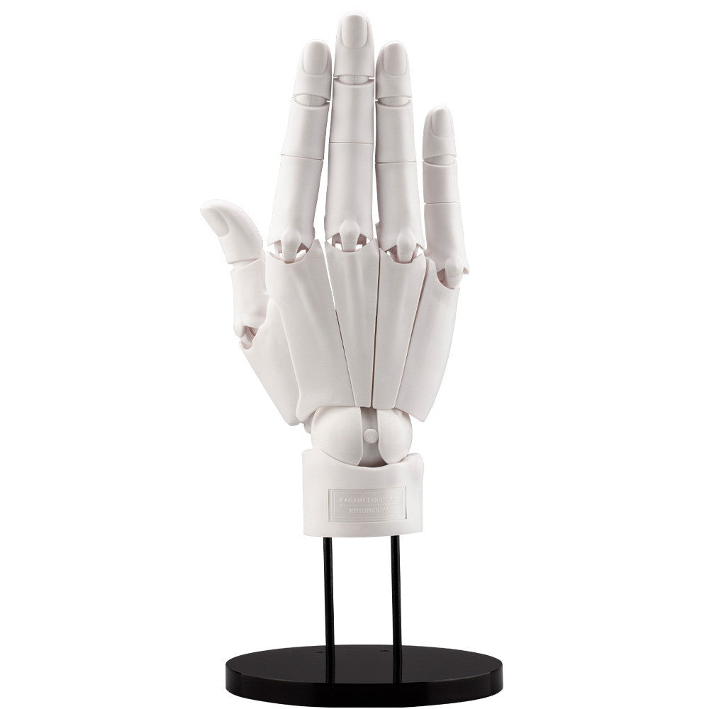 【中古即納】[FIG] (再々販) ARTIST SUPPORT ITEM ハンドモデル/R -WHITE- 1/1 完成品 可動フィギュア(AT006) コトブキヤ(20240316)