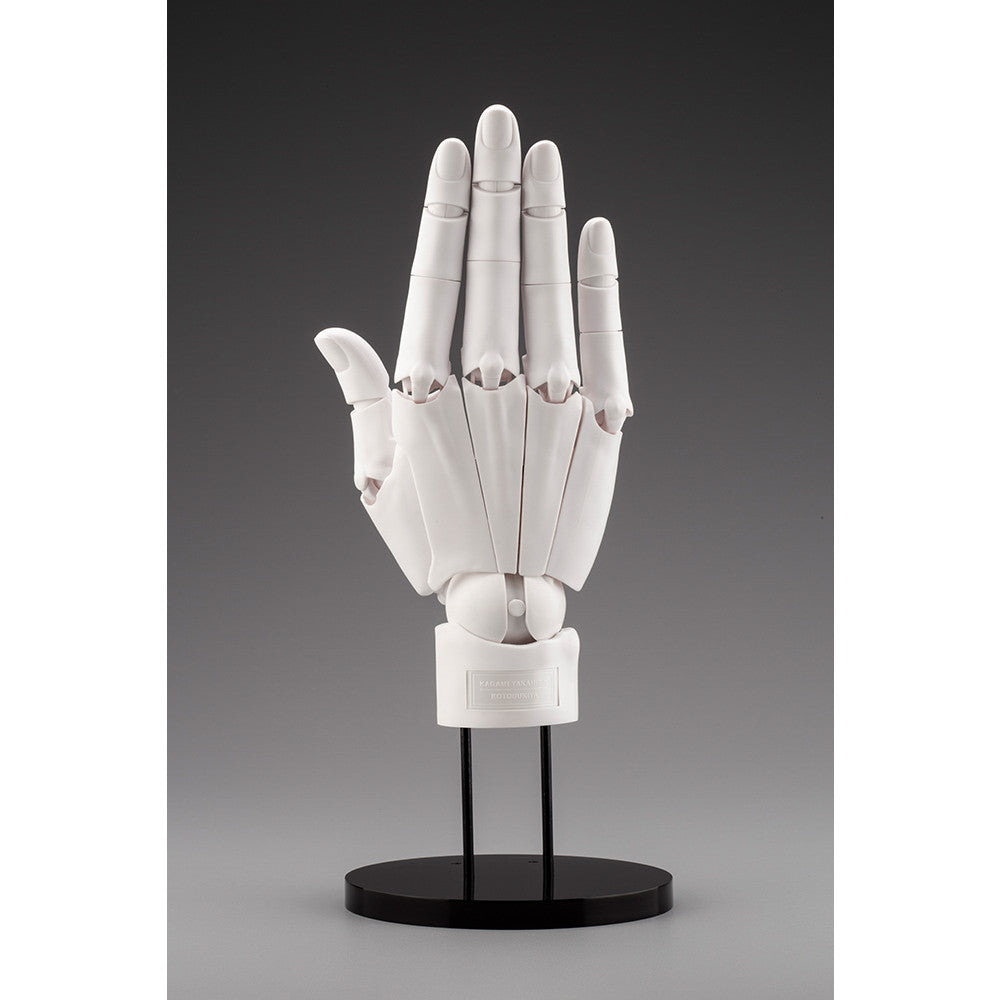 【中古即納】[FIG] (再々販) ARTIST SUPPORT ITEM ハンドモデル/R -WHITE- 1/1 完成品 可動フィギュア(AT006) コトブキヤ(20240316)