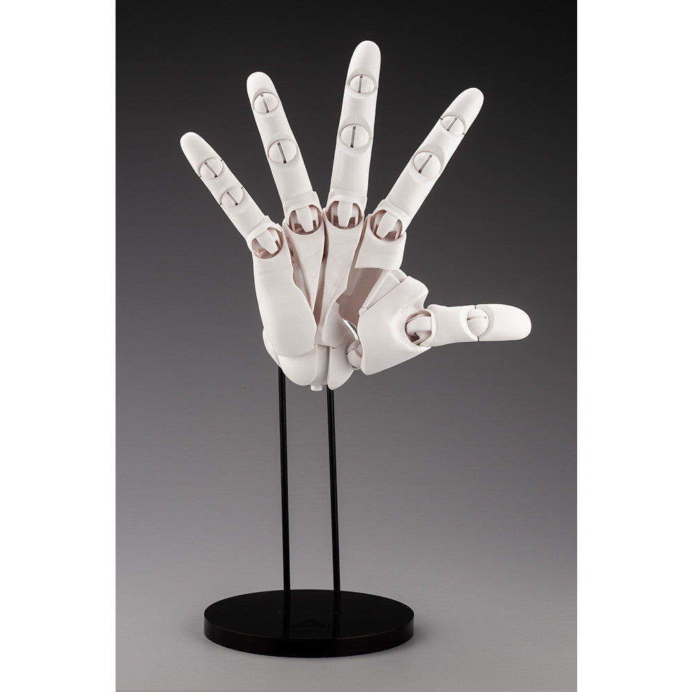 【中古即納】[FIG] (再々販) ARTIST SUPPORT ITEM ハンドモデル/R -WHITE- 1/1 完成品 可動フィギュア(AT006) コトブキヤ(20240316)