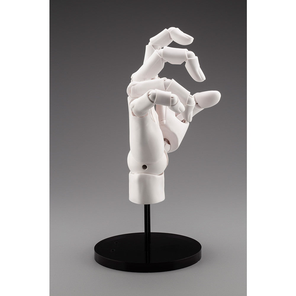 【中古即納】[FIG] (再々販) ARTIST SUPPORT ITEM ハンドモデル/R -WHITE- 1/1 完成品 可動フィギュア(AT006) コトブキヤ(20240316)