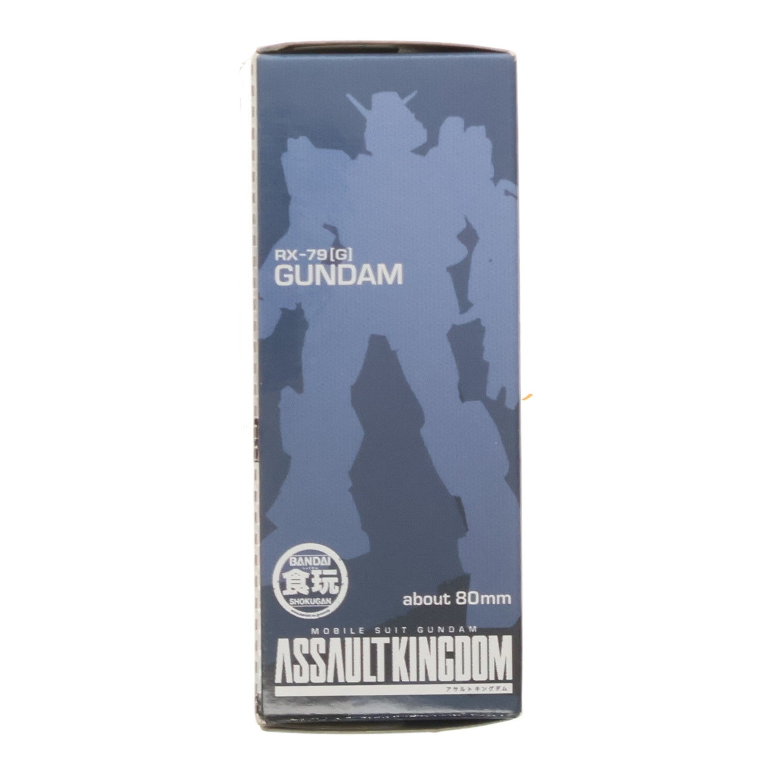 【中古即納】[FIG] (単品)(食玩) 機動戦士ガンダム ASSAULT KINGDOM(アサルトキングダム) 2 RX-79[G] 陸戦型ガンダム 機動戦士ガンダムシリーズ フィギュア バンダイ(20130605)