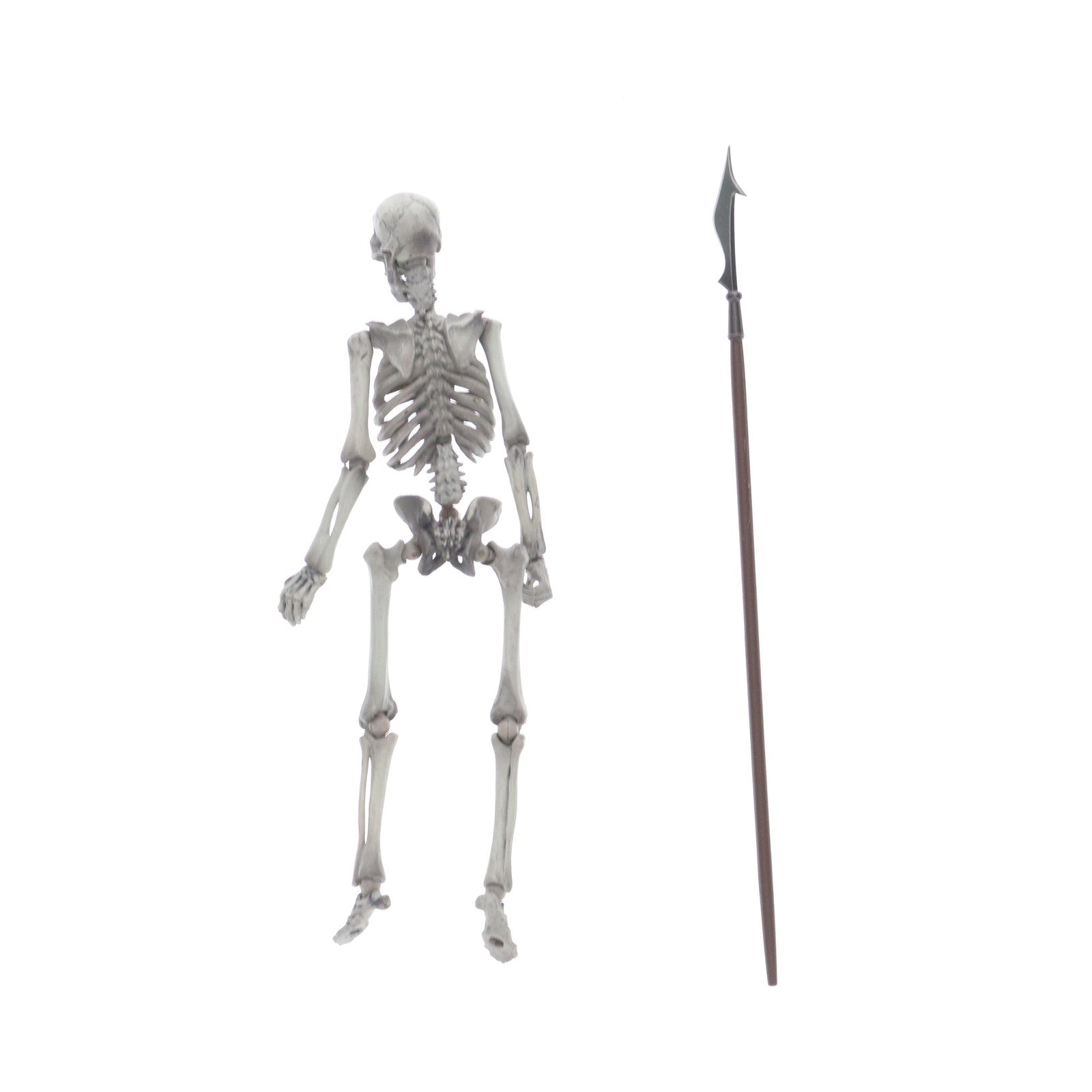 【中古即納】[FIG] 特撮リボルテック No.020 骸骨剣士(がいこつけんし) アルゴ探検隊の大冒険 完成品 可動フィギュア 海洋堂(20101229)