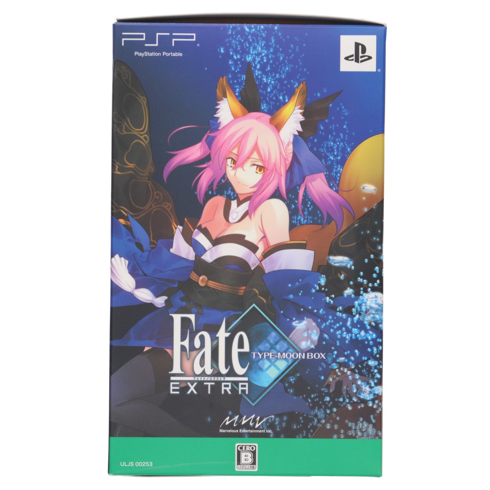 【中古即納】[FIG] (フィギュア単品) figma(フィグマ) SP-009 セイバーエクストラ PSPソフト「Fate/EXTRA(フェイト/エクストラ)」タイプムーンボックス 完成品 可動フィギュア マーベラスエンターテイメント(20100722)