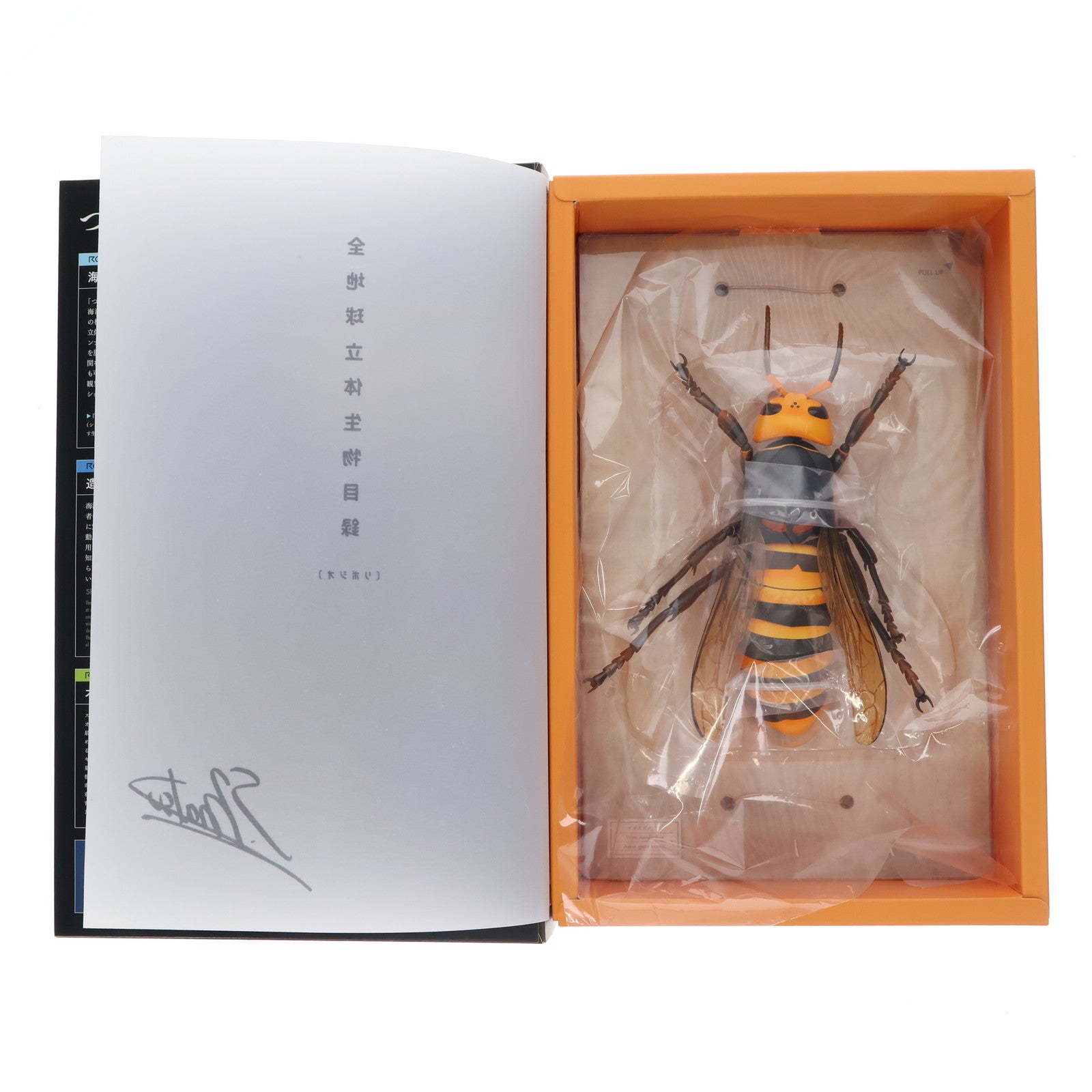 【中古即納】[FIG] (再販) REVOGEO(リボジオ) オオスズメバチ 完成品 可動フィギュア 海洋堂(20210918)
