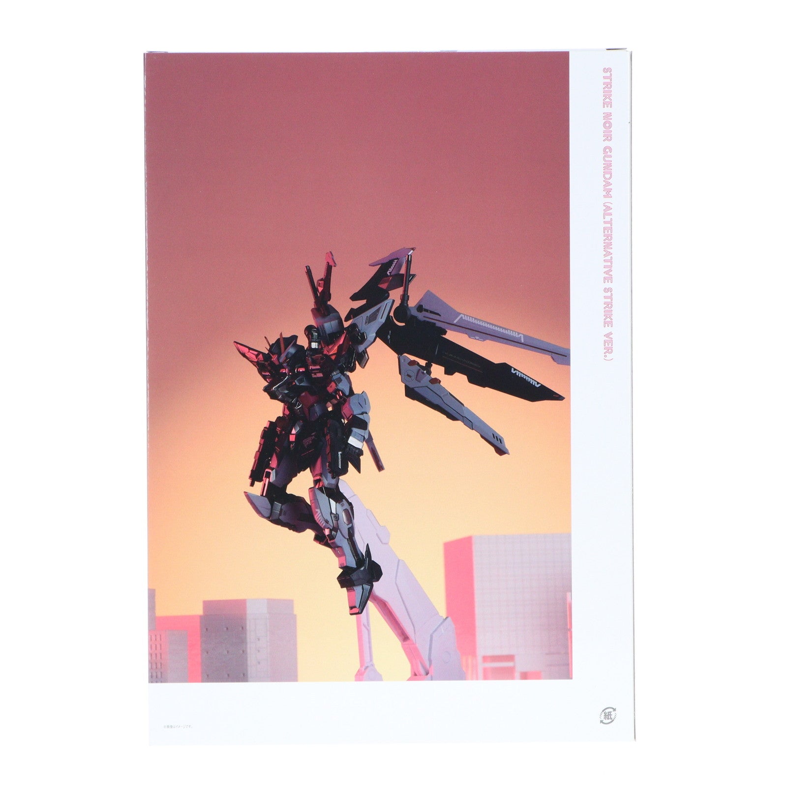 【中古即納】[FIG] METAL BUILD ストライクノワールガンダム(オルタナティブストライク Ver.) 機動戦士ガンダムSEED(シード) C.E.73 STARGAZER(スターゲイザー) 完成品 可動フィギュア TAMASHII NATION 2022&魂ウェブ商店限定 バンダイスピリッツ(20221115)