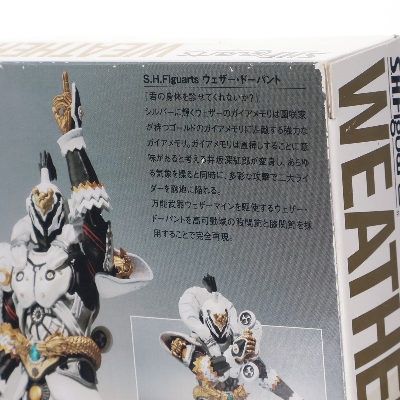 【中古即納】[FIG] 魂ウェブ商店限定 S.H.Figuarts(フィギュアーツ) ウェザー・ドーパント 仮面ライダーW(ダブル) 完成品 可動フィギュア バンダイ(20101224)