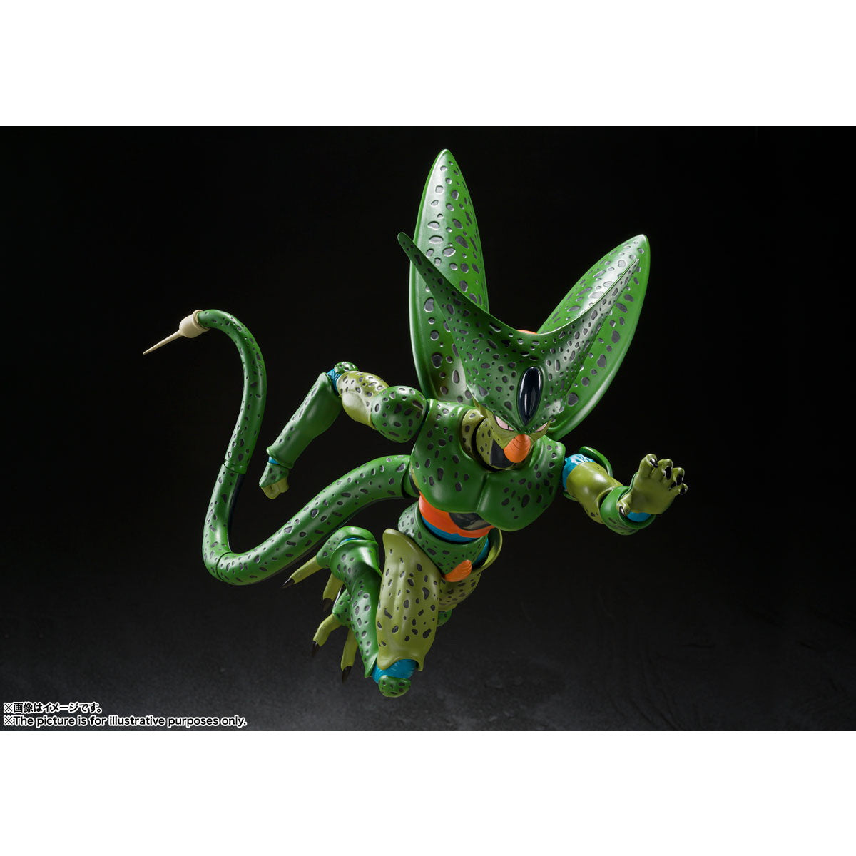 【中古即納】[FIG] (再販) S.H.Figuarts(フィギュアーツ) セル 第一形態 ドラゴンボールZ 完成品 可動フィギュア バンダイスピリッツ(20250920)
