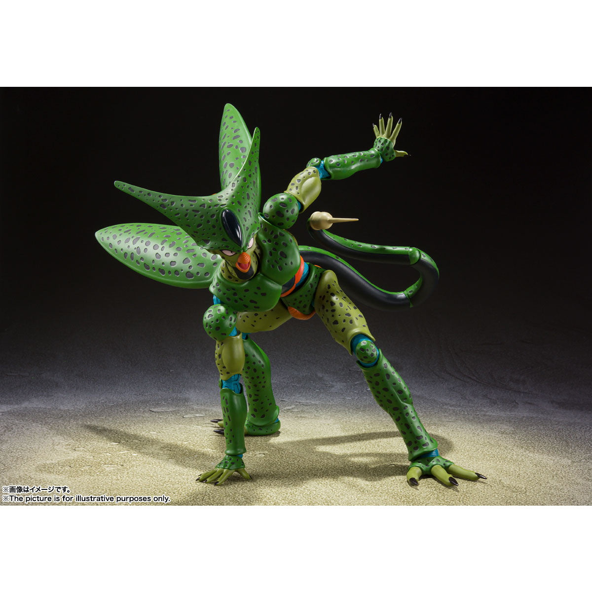 【中古即納】[FIG] (再販) S.H.Figuarts(フィギュアーツ) セル 第一形態 ドラゴンボールZ 完成品 可動フィギュア バンダイスピリッツ(20250920)