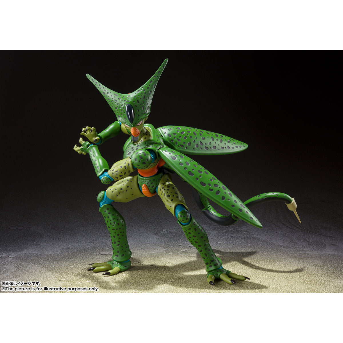 【中古即納】[FIG] (再販) S.H.Figuarts(フィギュアーツ) セル 第一形態 ドラゴンボールZ 完成品 可動フィギュア バンダイスピリッツ(20250920)