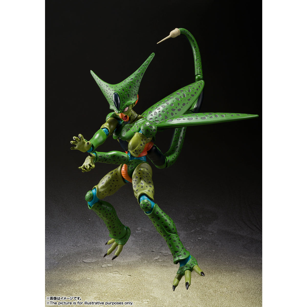 【中古即納】[FIG] (再販) S.H.Figuarts(フィギュアーツ) セル 第一形態 ドラゴンボールZ 完成品 可動フィギュア バンダイスピリッツ(20250920)