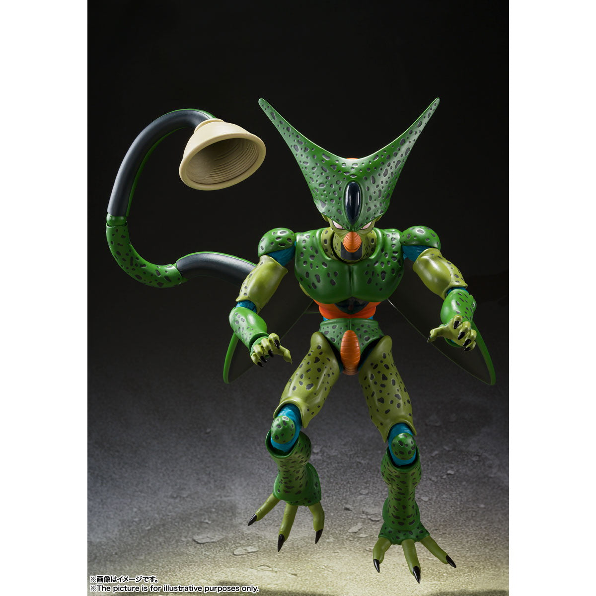【中古即納】[FIG] (再販) S.H.Figuarts(フィギュアーツ) セル 第一形態 ドラゴンボールZ 完成品 可動フィギュア バンダイスピリッツ(20250920)