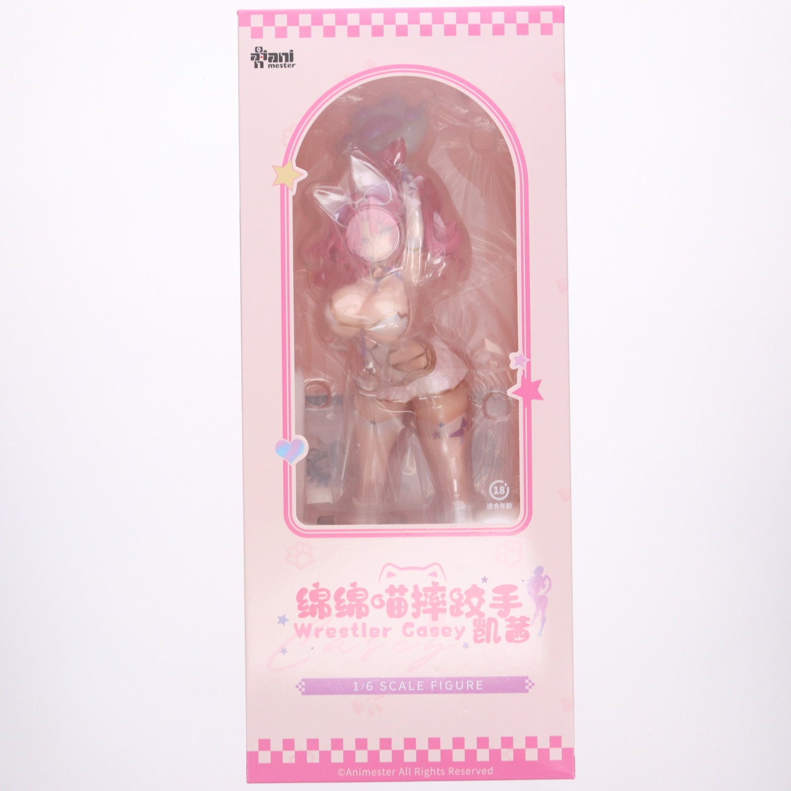 【中古即納】[FIG] 初回特典2種付属 プロレスラー ケーシー 1/6 完成品 フィギュア AniMester(アニメスター)(20250531)