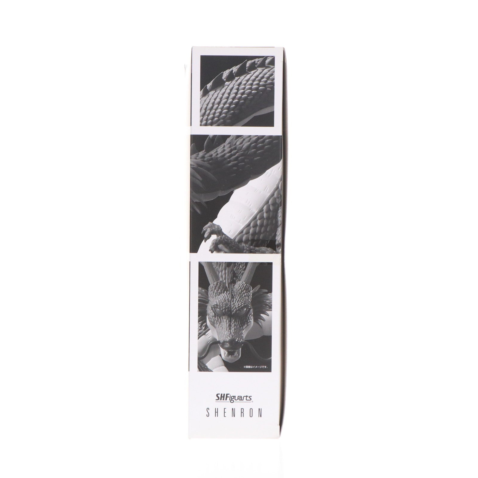 【中古即納】[FIG] S.H.Figuarts(フィギュアーツ) 神龍(シェンロン) ドラゴンボール 完成品 可動フィギュア バンダイ(20171020)