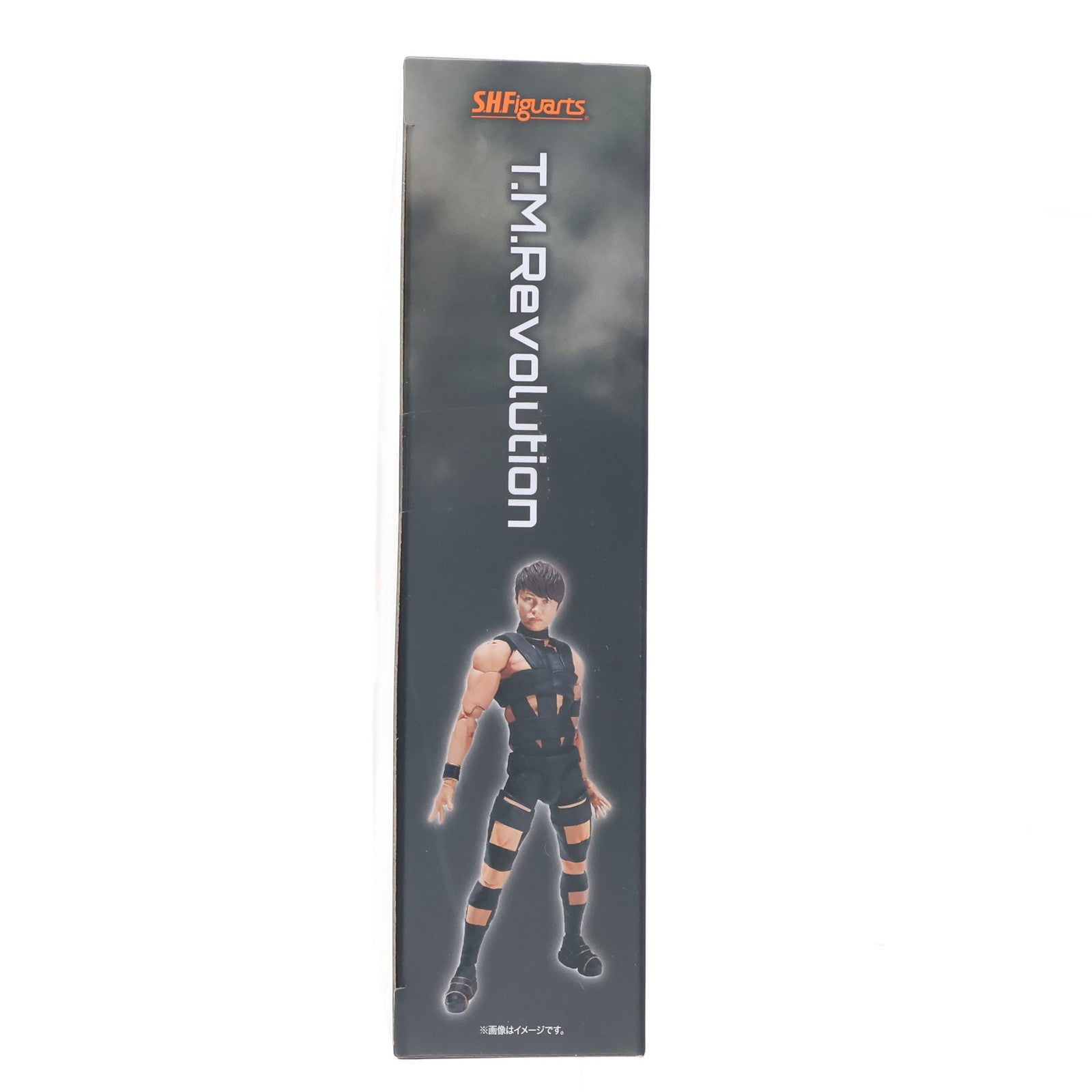 【中古即納】[FIG] 魂ウェブ商店限定 S.H.Figuarts(フィギュアーツ) T.M.Revolution 完成品 可動フィギュア バンダイスピリッツ(20230630)