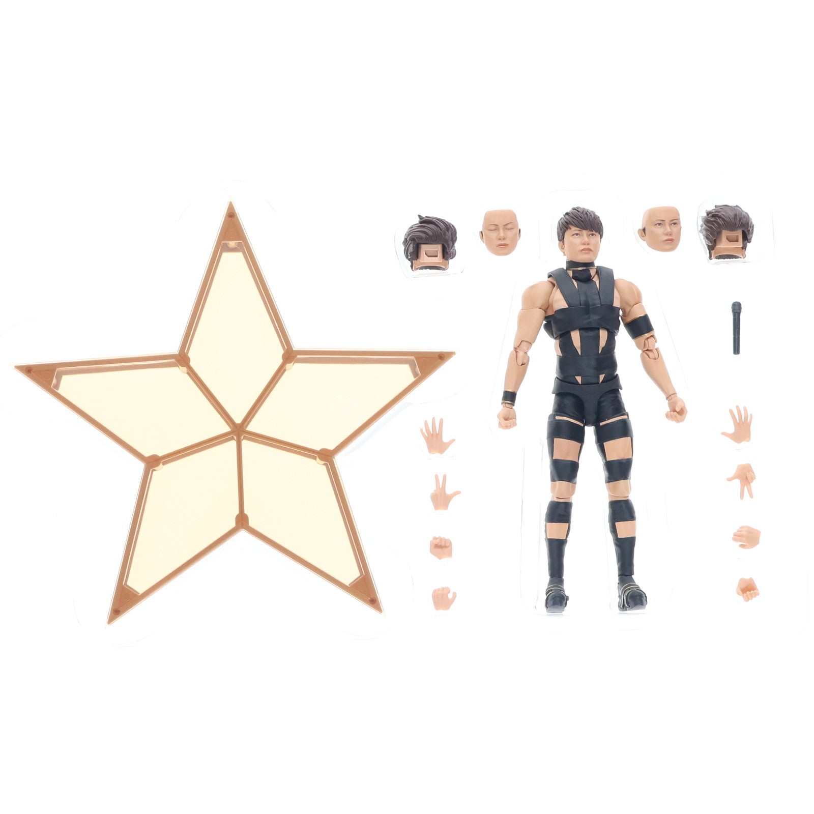 【中古即納】[FIG] 魂ウェブ商店限定 S.H.Figuarts(フィギュアーツ) T.M.Revolution 完成品 可動フィギュア バンダイスピリッツ(20230630)