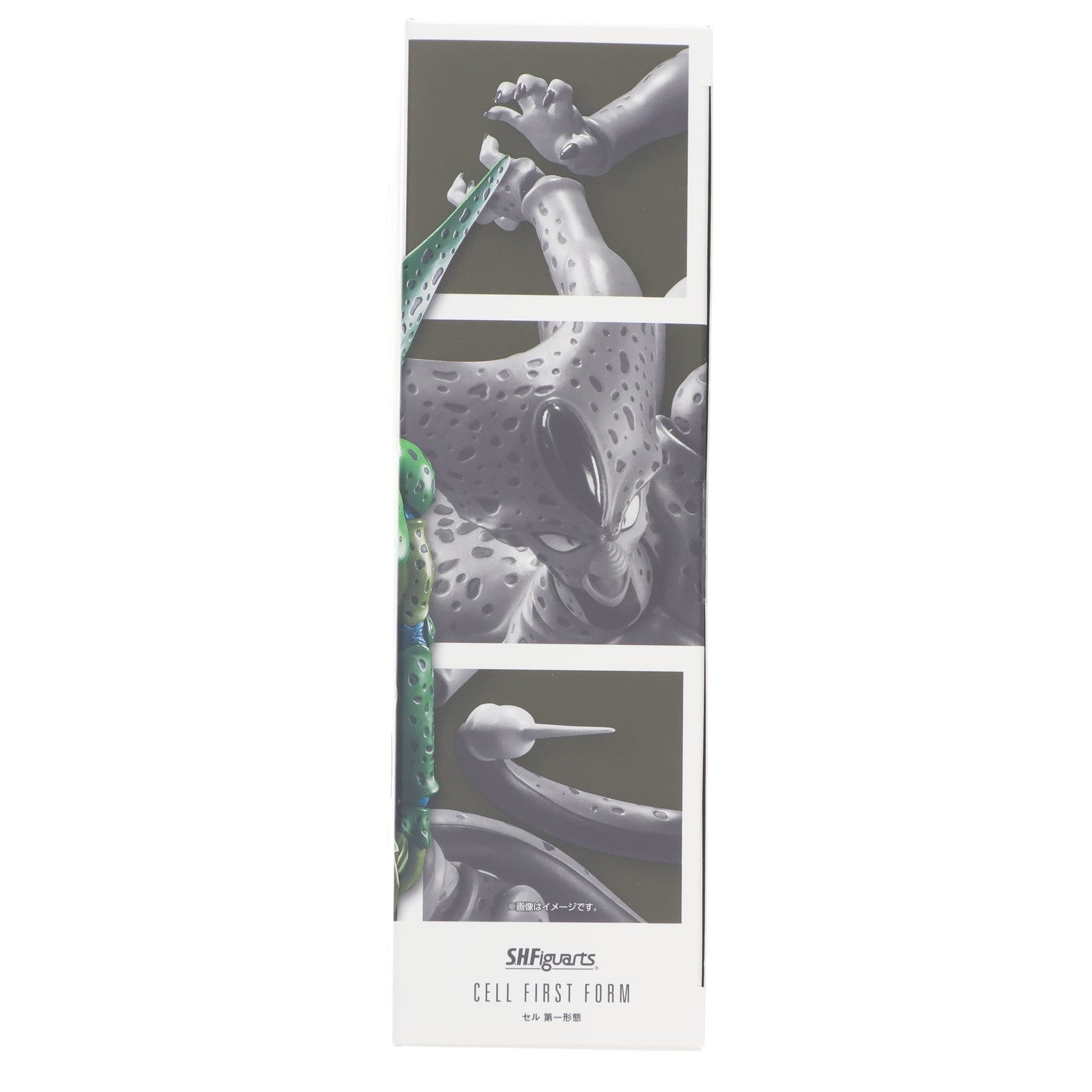 【中古即納】[FIG] (再販) S.H.Figuarts(フィギュアーツ) セル 第一形態 ドラゴンボールZ 完成品 可動フィギュア バンダイスピリッツ(20250920)