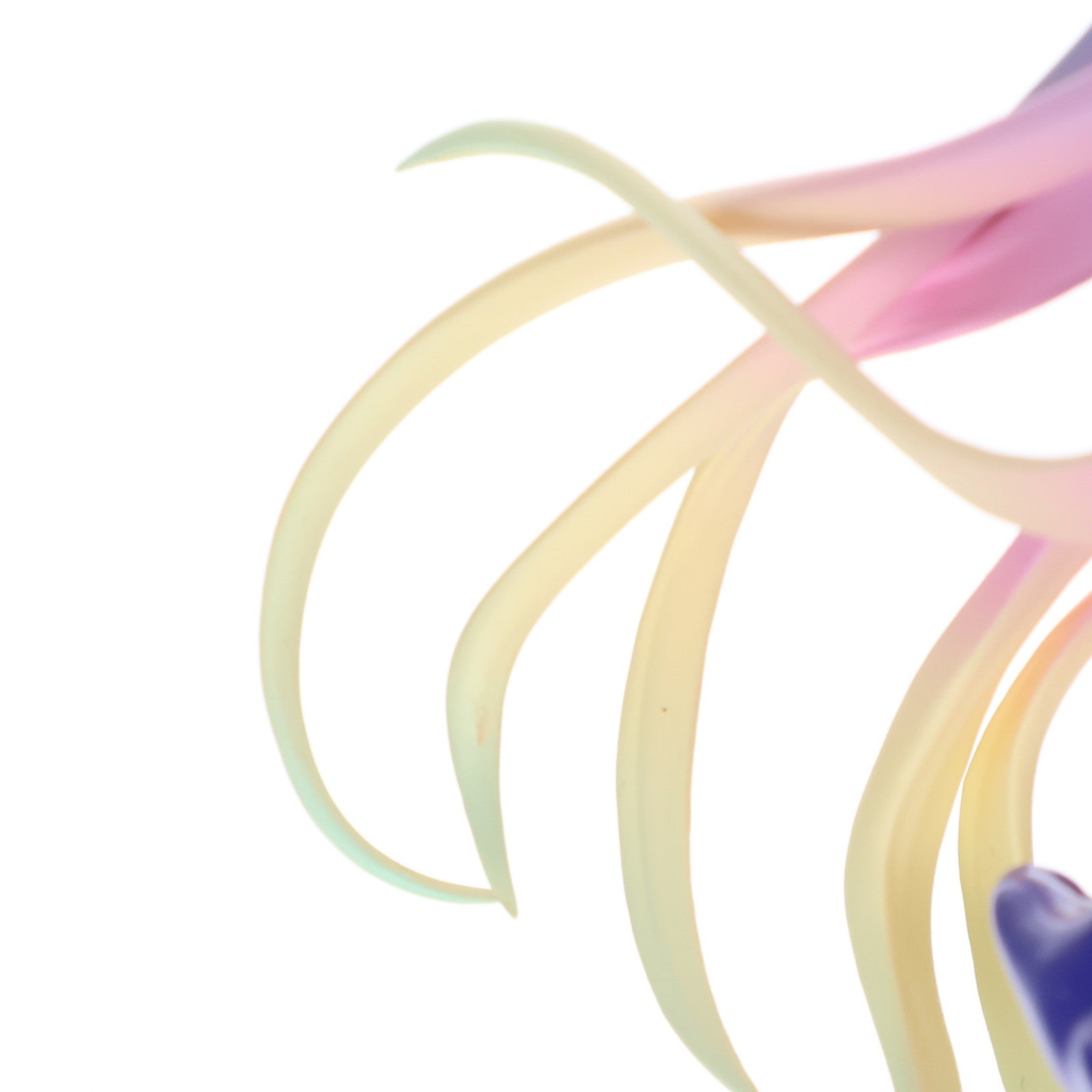 【中古即納】[FIG] POP UP PARADE(ポップアップパレード) 白(しろ) スナイパー Ver. ノーゲーム・ノーライフ 完成品 フィギュア グッドスマイルカンパニー(20200520)