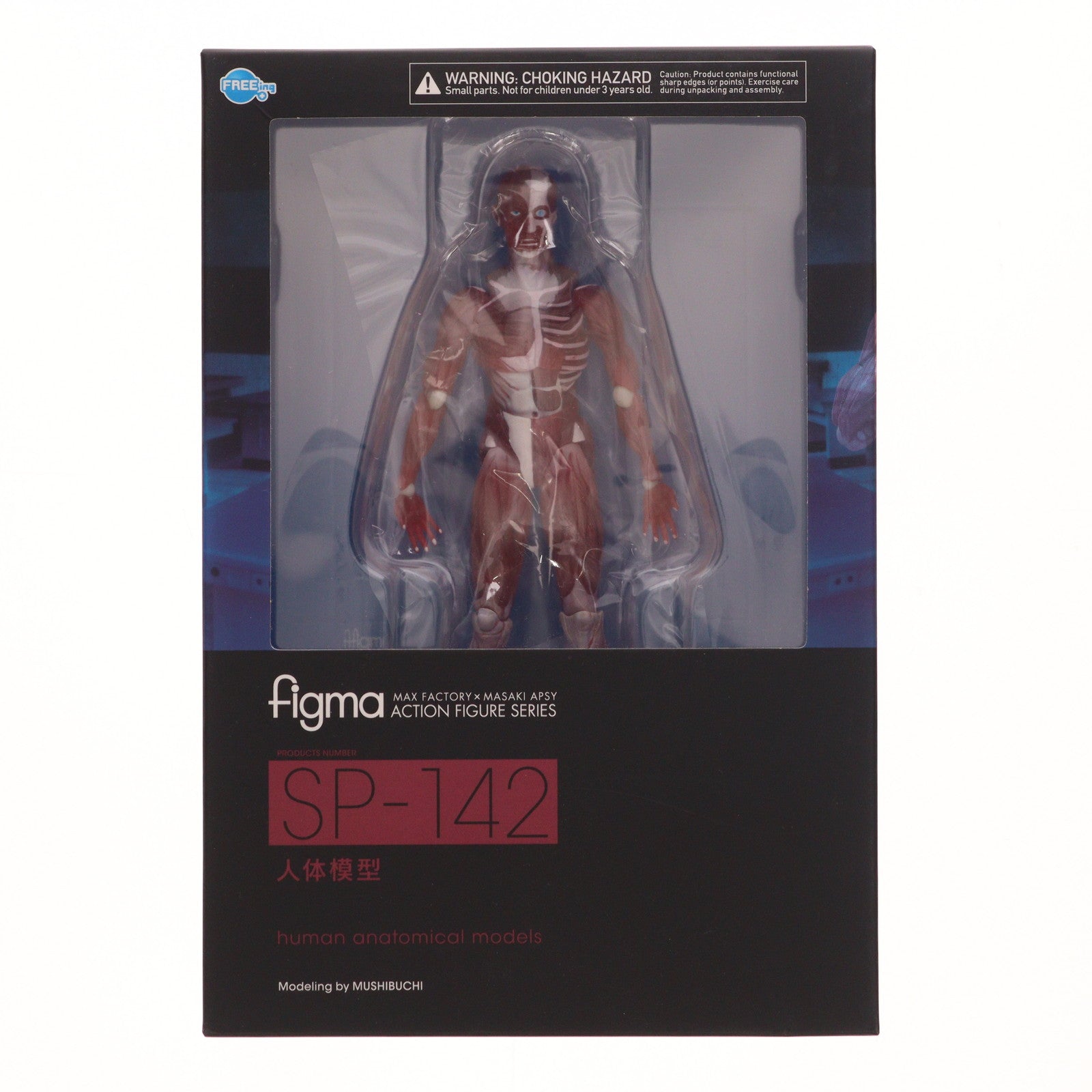 【中古即納】[FIG] figma(フィグマ) SP-142 人体模型(じんたいもけい) 完成品 可動フィギュア FREEing(フリーイング)(20220428)