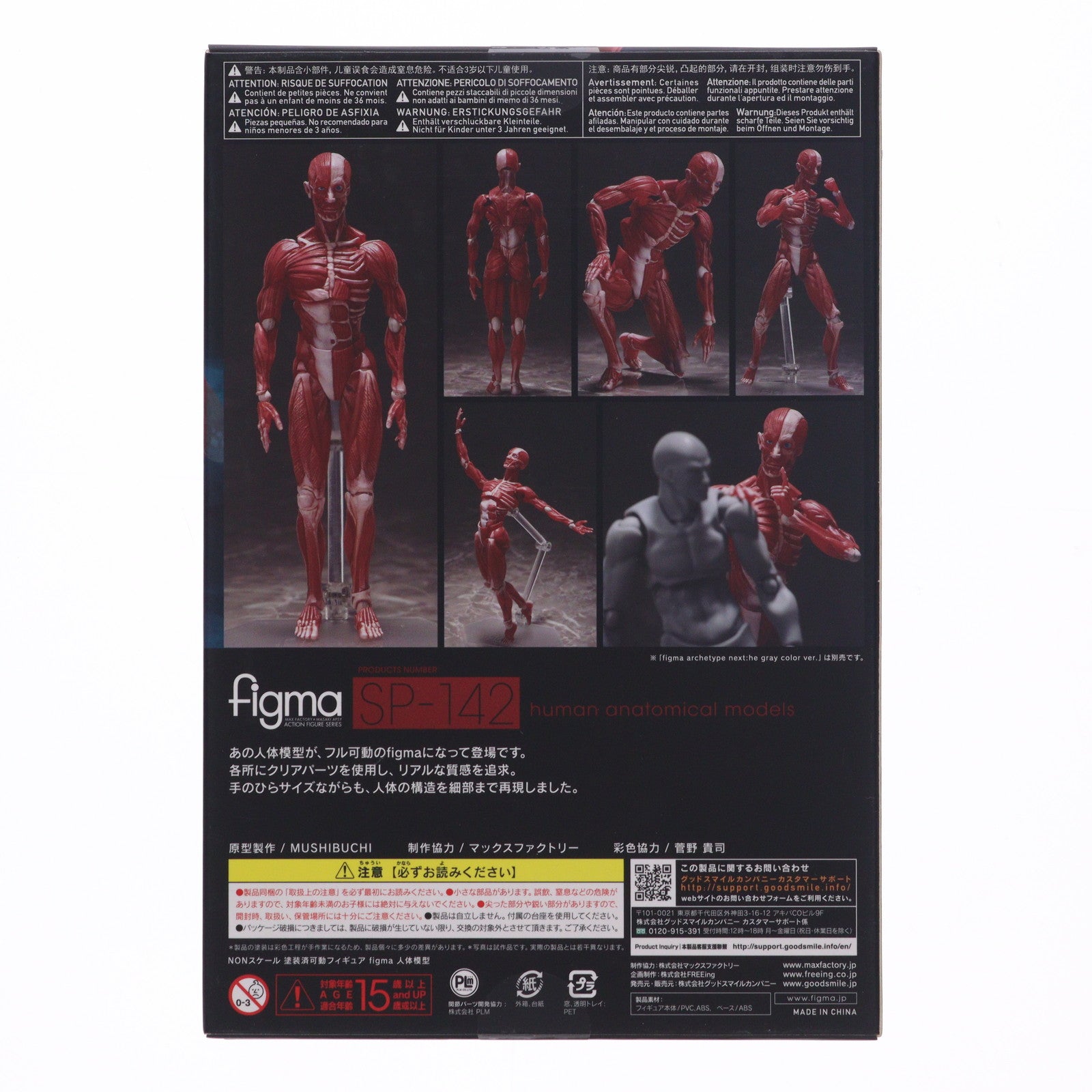 【中古即納】[FIG] figma(フィグマ) SP-142 人体模型(じんたいもけい) 完成品 可動フィギュア FREEing(フリーイング)(20220428)