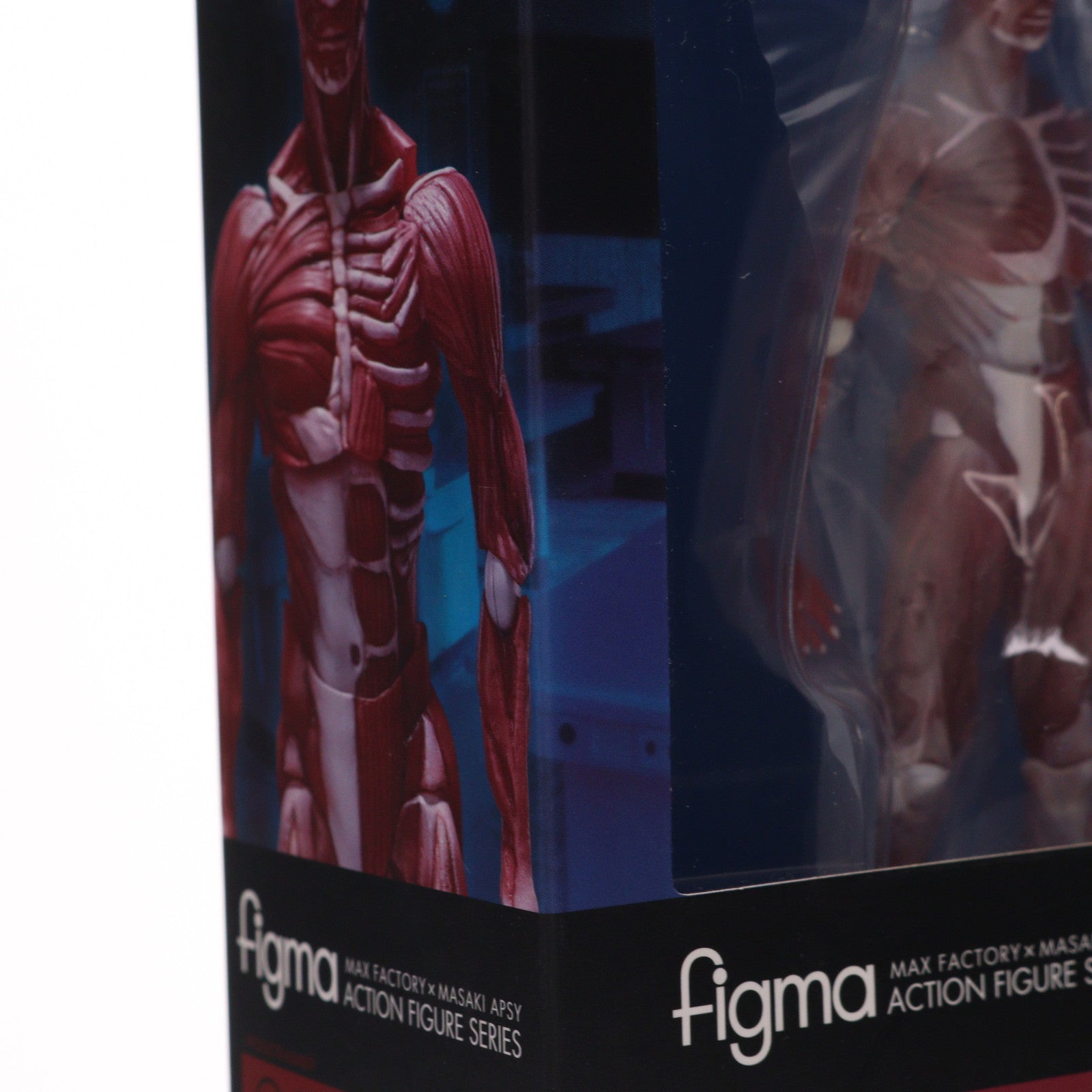【中古即納】[FIG] figma(フィグマ) SP-142 人体模型(じんたいもけい) 完成品 可動フィギュア FREEing(フリーイング)(20220428)