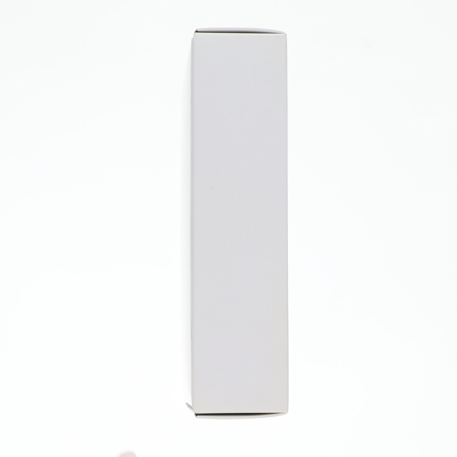 【中古即納】[FIG] 姉ヶ崎寧々(あねがさきねね) 水着 ラブプラス 1/8 フルカラーレジンキット フィギュア 月刊ホビージャパン2011年12月号・2012年1月号誌上通販限定 ホビージャパン(20111231)