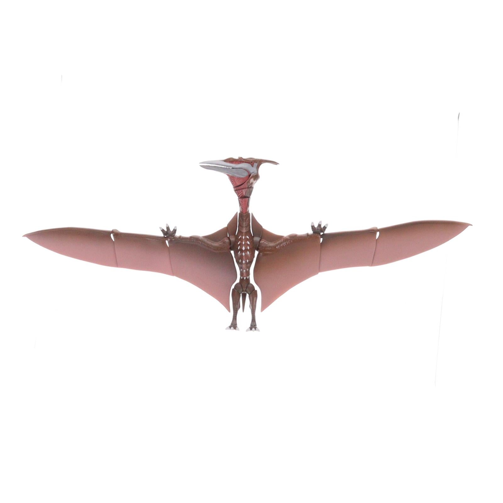 【中古即納】[FIG] 魂ウェブ商店限定 S.H.MonsterArts(モンスターアーツ) ラドン(2021) -第2形態- ゴジラ S.P シンギュラポイント 完成品 可動フィギュア バンダイスピリッツ(20220630)