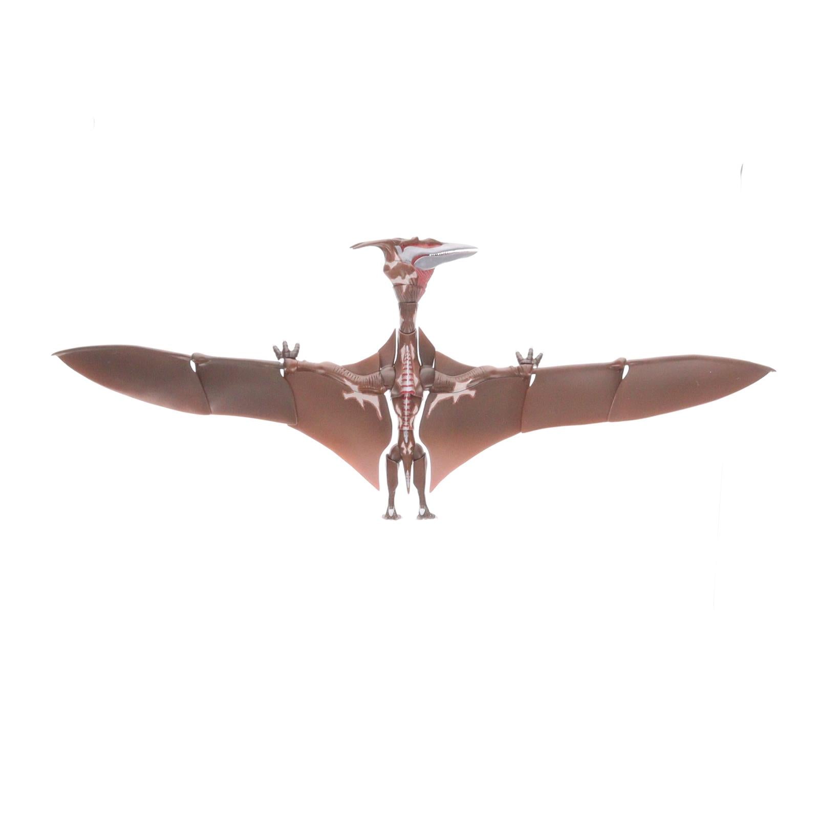 【中古即納】[FIG] 魂ウェブ商店限定 S.H.MonsterArts(モンスターアーツ) ラドン(2021) -第2形態- ゴジラ S.P シンギュラポイント 完成品 可動フィギュア バンダイスピリッツ(20220630)