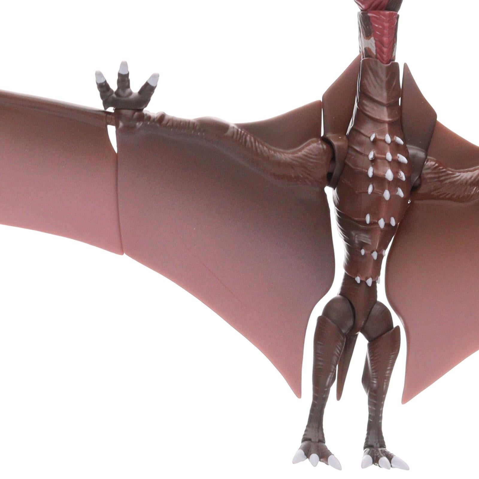 【中古即納】[FIG] 魂ウェブ商店限定 S.H.MonsterArts(モンスターアーツ) ラドン(2021) -第2形態- ゴジラ S.P シンギュラポイント 完成品 可動フィギュア バンダイスピリッツ(20220630)