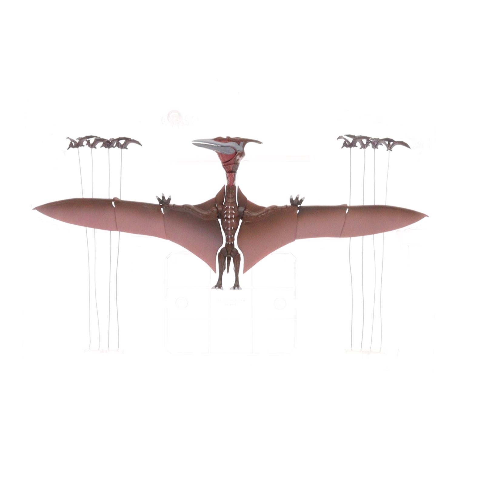 【中古即納】[FIG] 魂ウェブ商店限定 S.H.MonsterArts(モンスターアーツ) ラドン(2021) -第2形態- ゴジラ S.P シンギュラポイント 完成品 可動フィギュア バンダイスピリッツ(20220630)