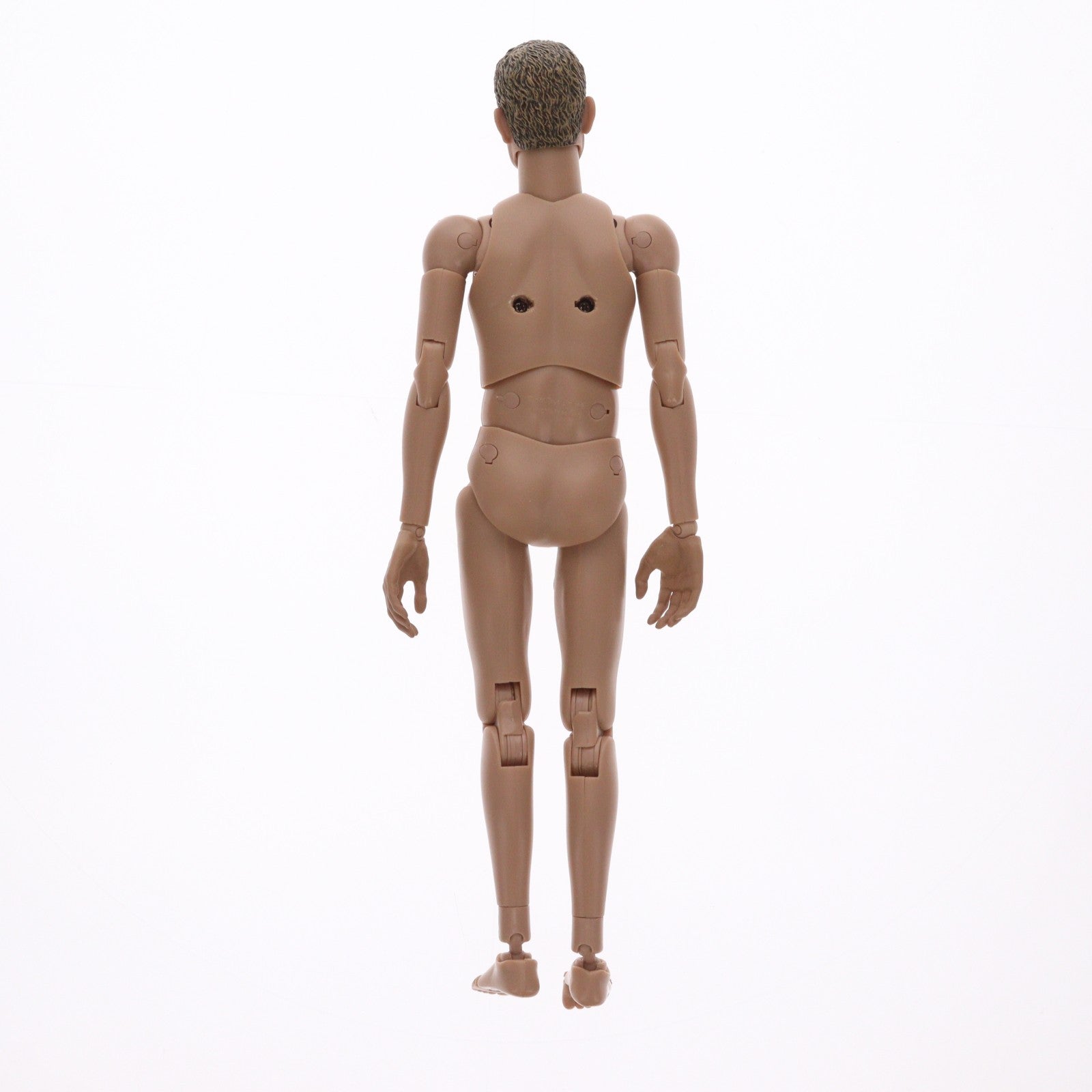 【中古即納】[FIG] ホットトイズ・トゥルータイプ ニュージェネレーション/白人男性(スリム・ボディー版) 1/6 フィギュア素体 可動フィギュア(TTM09) ホットトイズ(20090731)