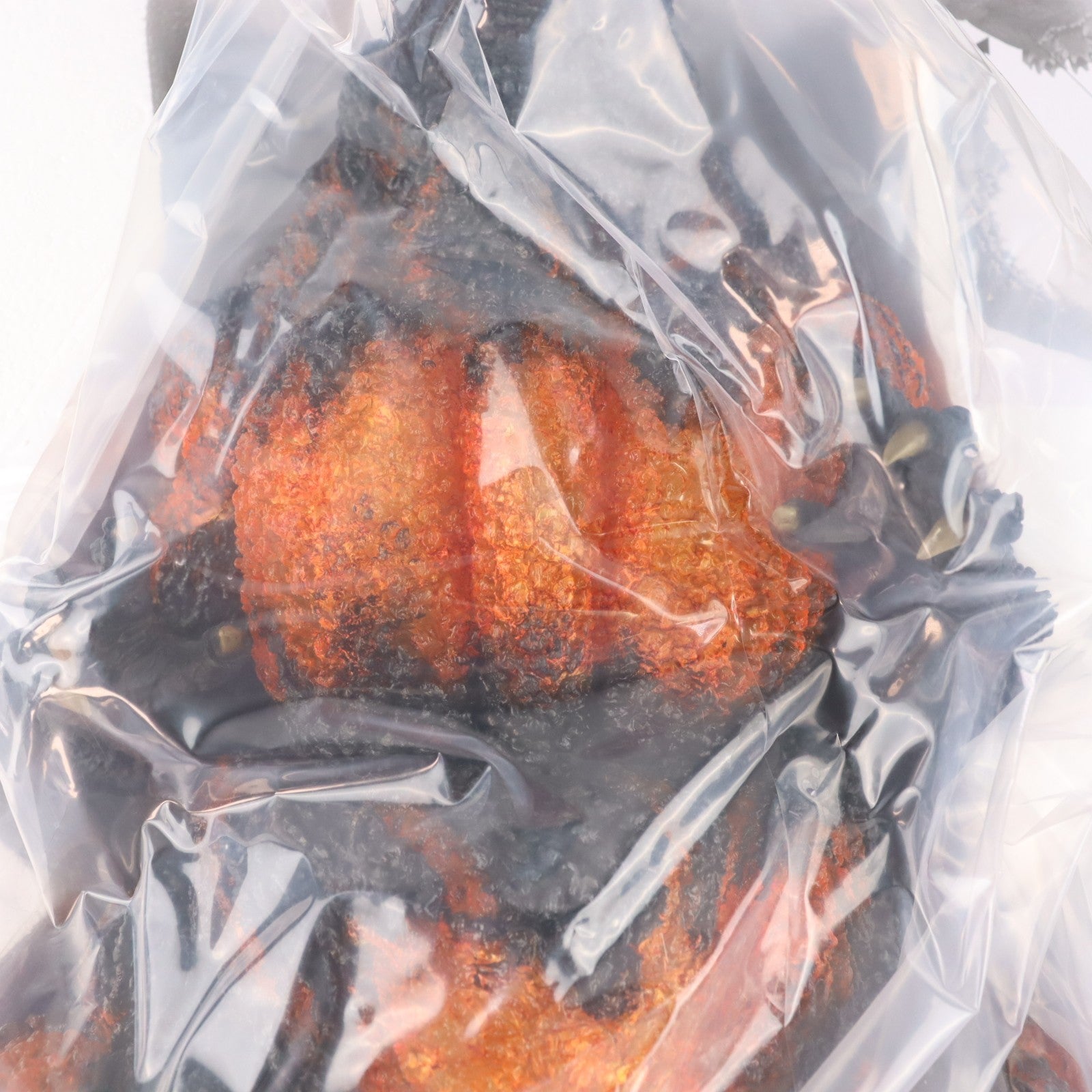 【中古即納】[FIG] 少年リック限定 ギガンティックシリーズ ゴジラ(1995) ファイナルバトルVer. ゴジラvsデストロイア 完成品 フィギュア プレックス(20230531)