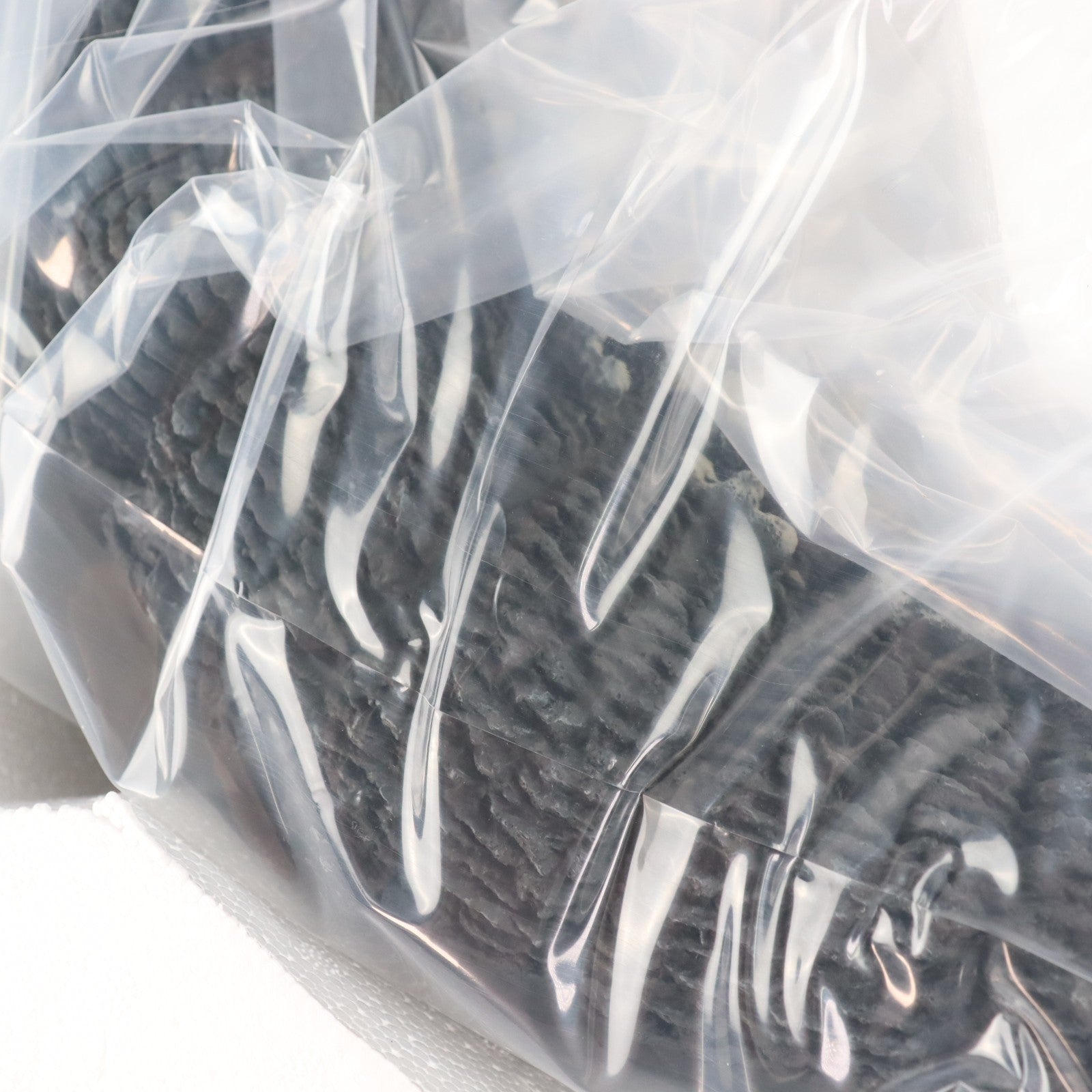 【中古即納】[FIG] 少年リック限定 ギガンティックシリーズ ゴジラ(1995) ファイナルバトルVer. ゴジラvsデストロイア 完成品 フィギュア プレックス(20230531)