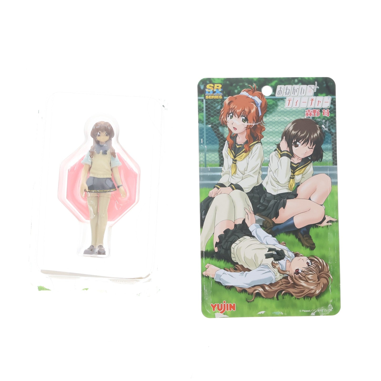 【中古即納】[FIG] SRDX 森野苺(もりのいちご) おねがい☆ティーチャー 完成品 フィギュア ユージン(20040831)