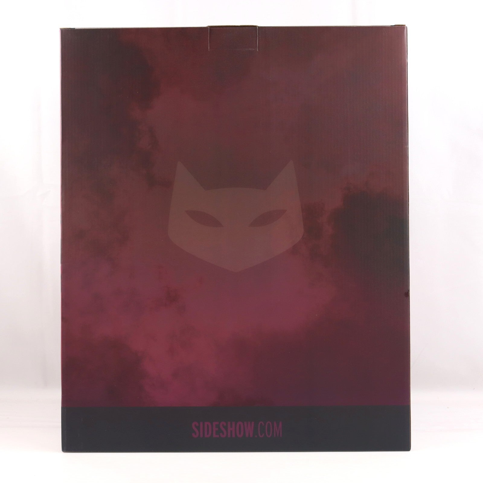 【中古即納】[FIG] プレミアム・フォーマット・フィギュア キャットウーマン DCコミックス 完成品 フィギュア サイドショウ/ホットトイズ(20220930)