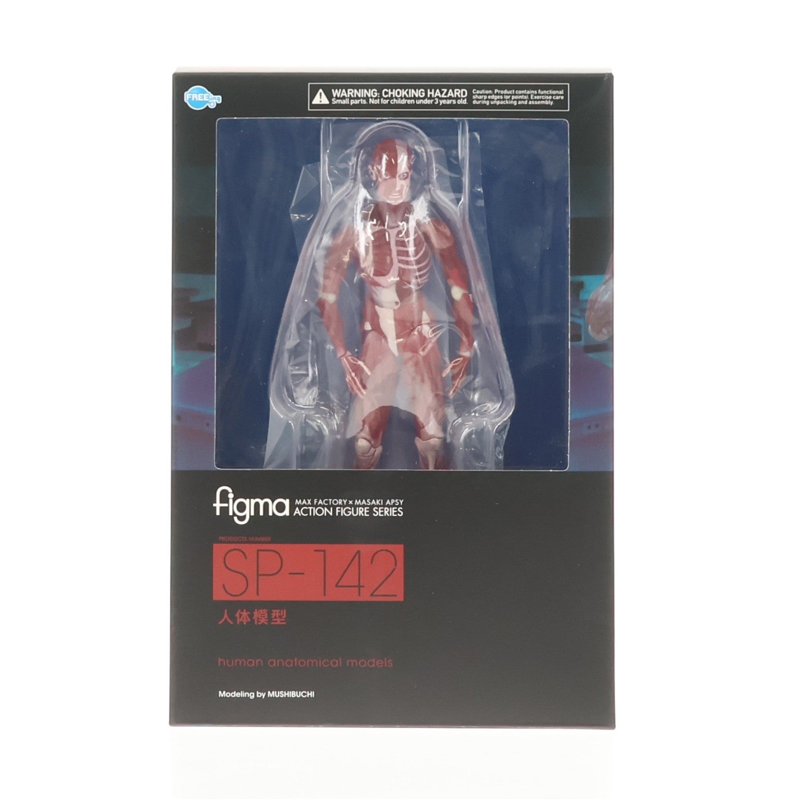 【中古即納】[FIG] figma(フィグマ) SP-142 人体模型(じんたいもけい) 完成品 可動フィギュア FREEing(フリーイング)(20220428)