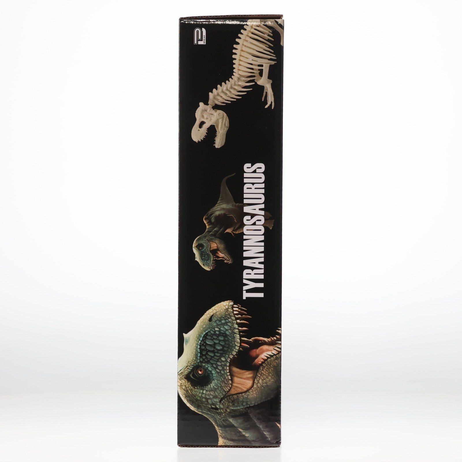 【中古即納】[FIG] 恐竜帝国 組立式 化石フィギュア プライズ ブレイク(20220722)