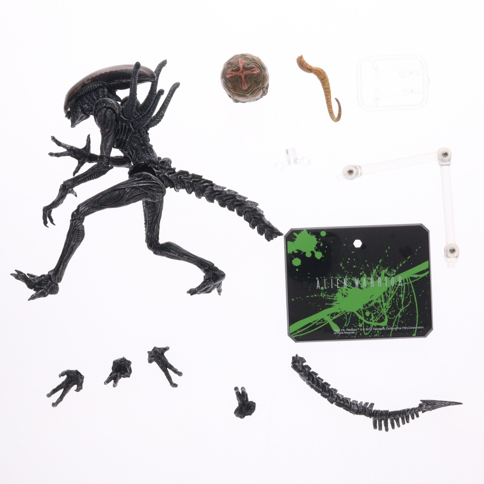 【中古即納】[FIG] S.H.MonsterArts(モンスターアーツ) エイリアン ウォーリア エイリアンVSプレデター 完成品 可動フィギュア バンダイ(20140125)