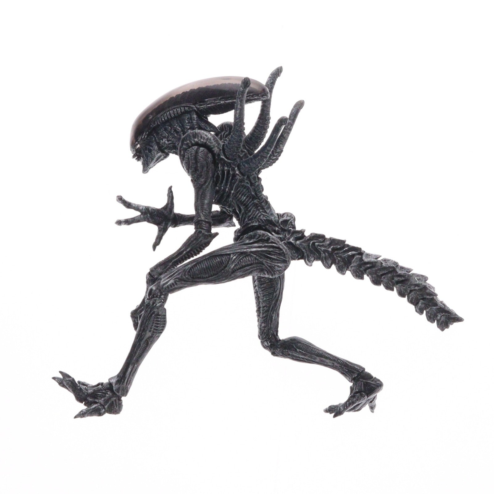 【中古即納】[FIG] S.H.MonsterArts(モンスターアーツ) エイリアン ウォーリア エイリアンVSプレデター 完成品 可動フィギュア バンダイ(20140125)