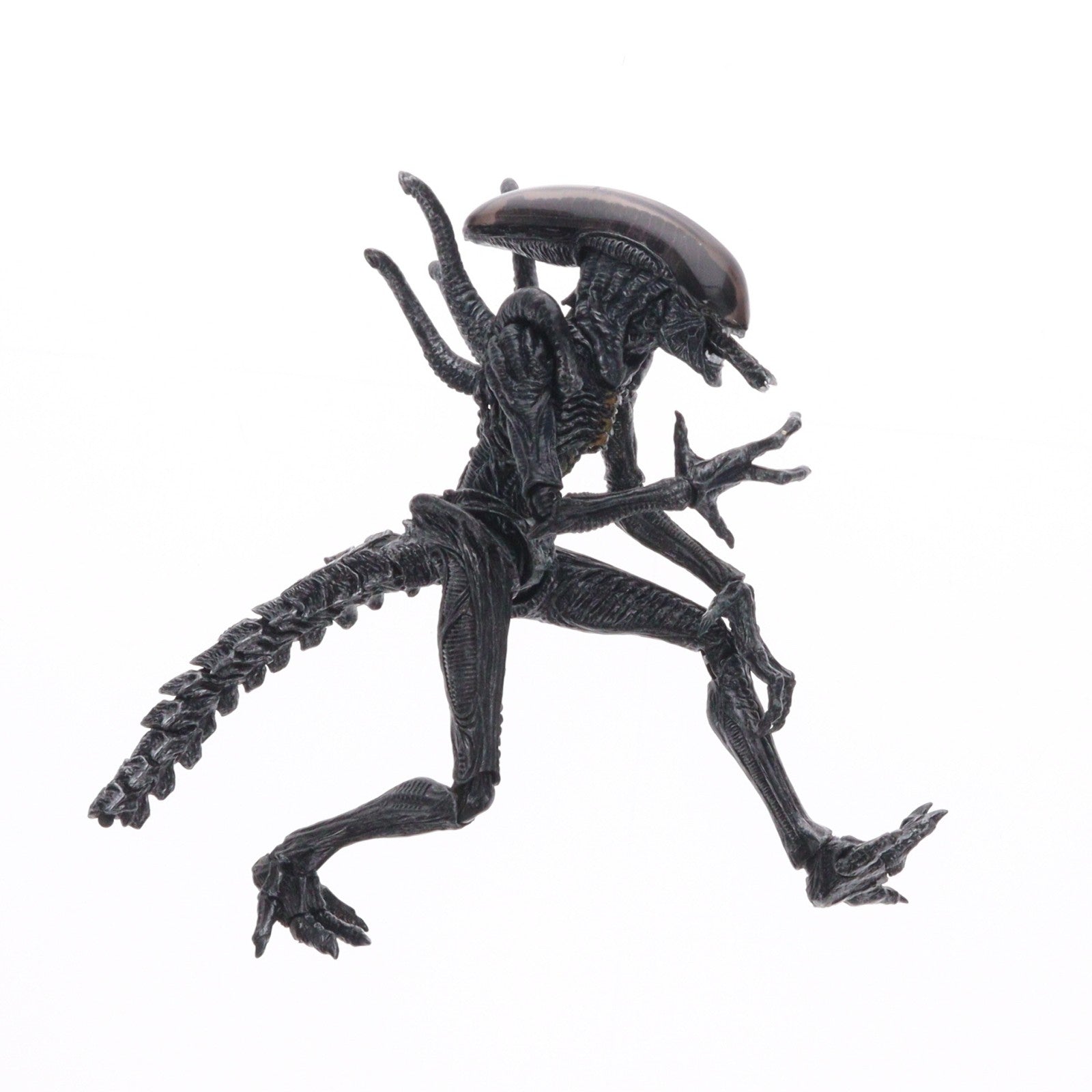 【中古即納】[FIG] S.H.MonsterArts(モンスターアーツ) エイリアン ウォーリア エイリアンVSプレデター 完成品 可動フィギュア バンダイ(20140125)