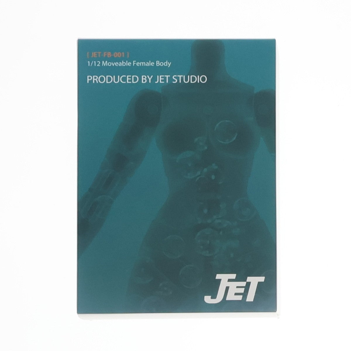 【中古即納】[DOL] アクション フィメールボディ スタイルA(ラージバスト) 1/12 ドール用素体(TS-FB-001A) TUNSHI STUDIO(タンシスタジオ)(20250705)