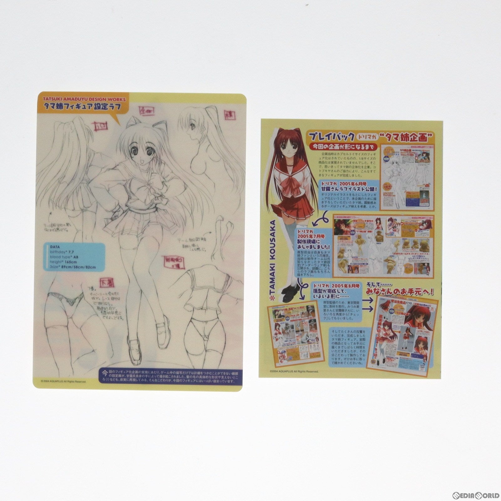 【中古即納】[FIG] 特典下敷き付属 向坂環(こうさかたまき) ドリマガオリジナルVer. ToHeart2(トゥーハート2) 1/8 完成品 フィギュア コトブキヤ(20060330)