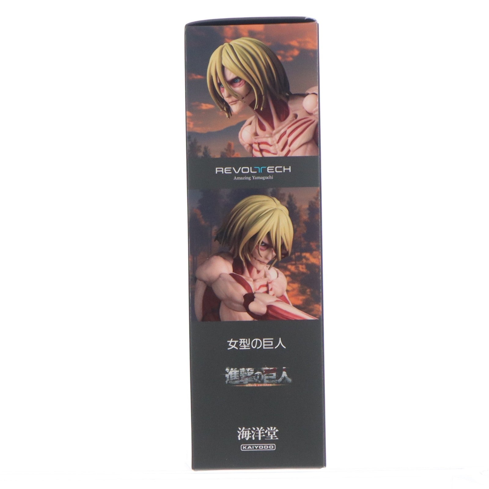 【中古即納】[FIG] リボルテック アメイジング・ヤマグチ 女型の巨人 進撃の巨人 完成品 可動フィギュア(NR068) 海洋堂(20250726)