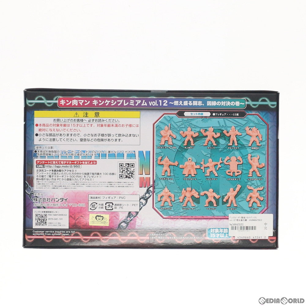 【中古即納】[FIG] プレミアムバンダイ限定 キンケシプレミアムvol.12～燃え盛る闘志、因縁の対決の巻～ キン肉マン 完成品 フィギュア バンダイ(20200331)