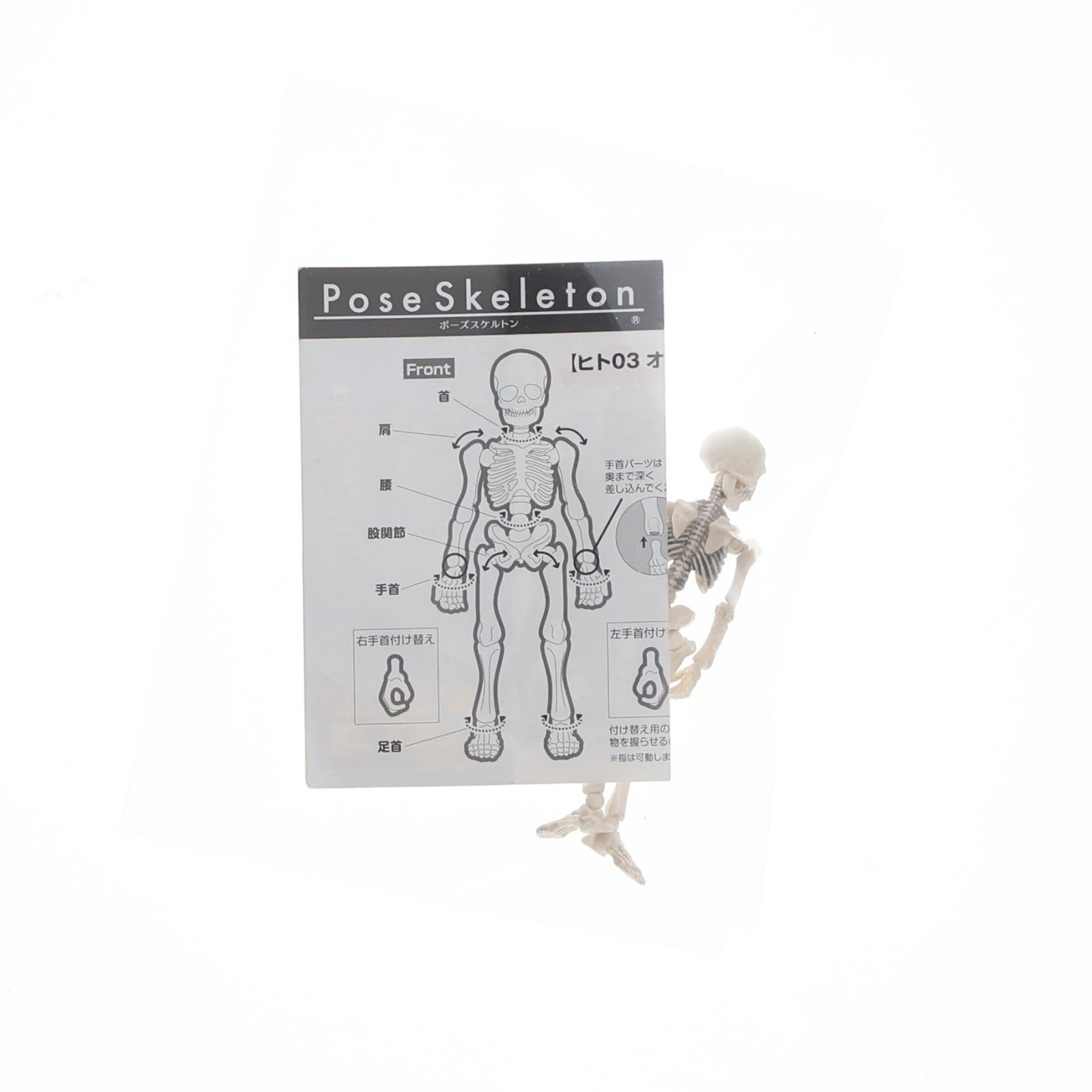【中古即納】[FIG] ポーズスケルトン ヒト03 オオキイヒト 1/18 完成品 可動フィギュア リーメント(20150424)